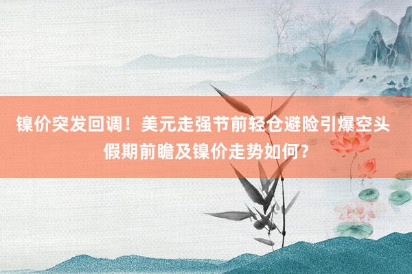 镍价突发回调！美元走强节前轻仓避险引爆空头 假期前瞻及镍价走势如何？