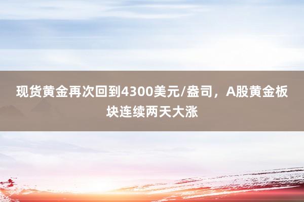 现货黄金再次回到4300美元/盎司，A股黄金板块连续两天大涨