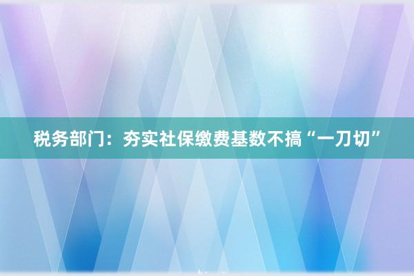 税务部门：夯实社保缴费基数不搞“一刀切”