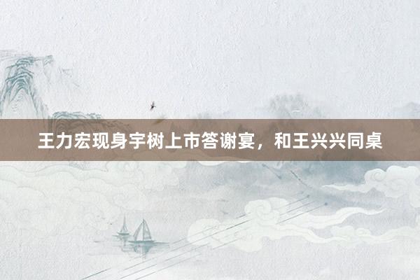 王力宏现身宇树上市答谢宴，和王兴兴同桌