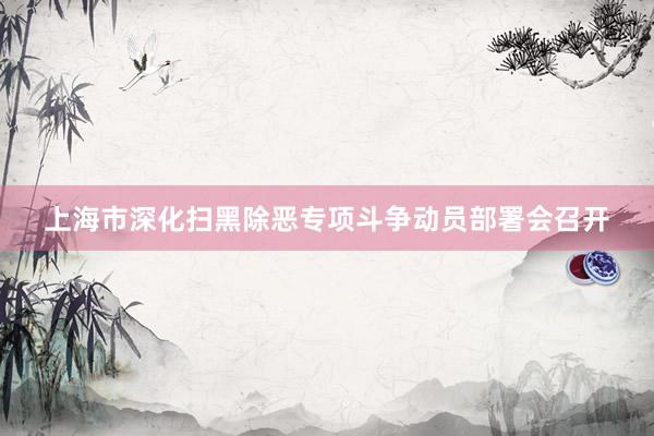 上海市深化扫黑除恶专项斗争动员部署会召开