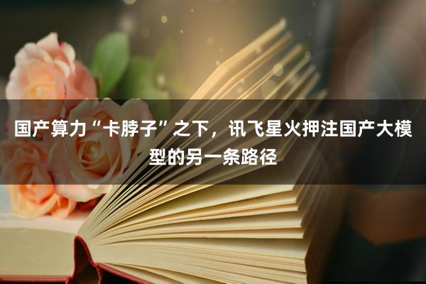 国产算力“卡脖子”之下，讯飞星火押注国产大模型的另一条路径