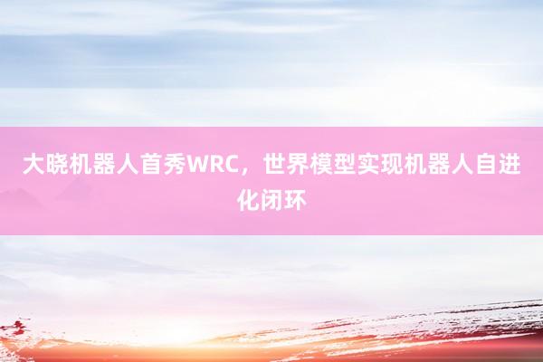 大晓机器人首秀WRC，世界模型实现机器人自进化闭环