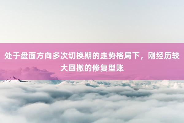 处于盘面方向多次切换期的走势格局下，刚经历较大回撤的修复型账