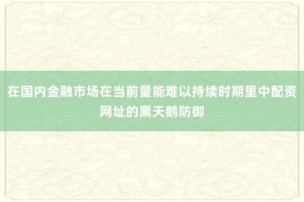 在国内金融市场在当前量能难以持续时期里中配资网址的黑天鹅防御