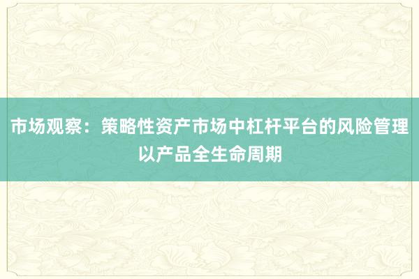 市场观察：策略性资产市场中杠杆平台的风险管理以产品全生命周期