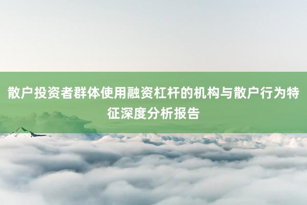 散户投资者群体使用融资杠杆的机构与散户行为特征深度分析报告