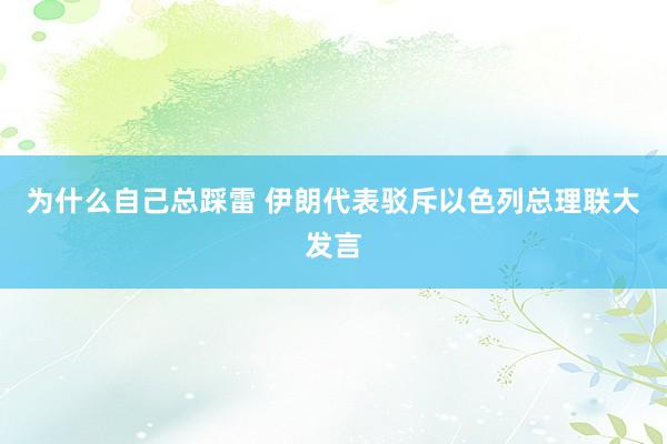 为什么自己总踩雷 伊朗代表驳斥以色列总理联大发言
