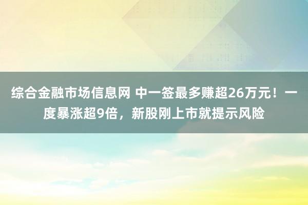 综合金融市场信息网 中一签最多赚超26万元！一度暴涨超9倍，新股刚上市就提示风险