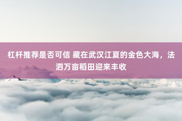 杠杆推荐是否可信 藏在武汉江夏的金色大海，法泗万亩稻田迎来丰收