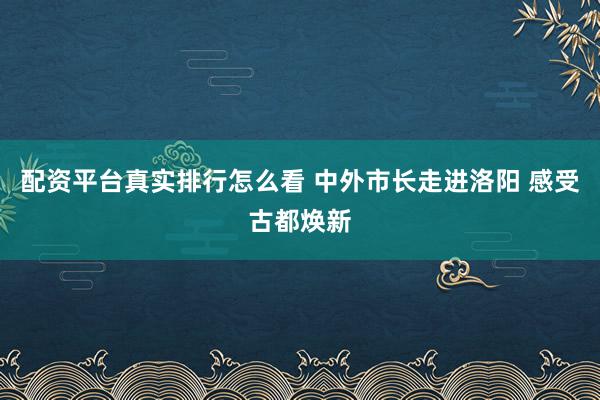 配资平台真实排行怎么看 中外市长走进洛阳 感受古都焕新