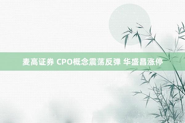 麦高证券 CPO概念震荡反弹 华盛昌涨停